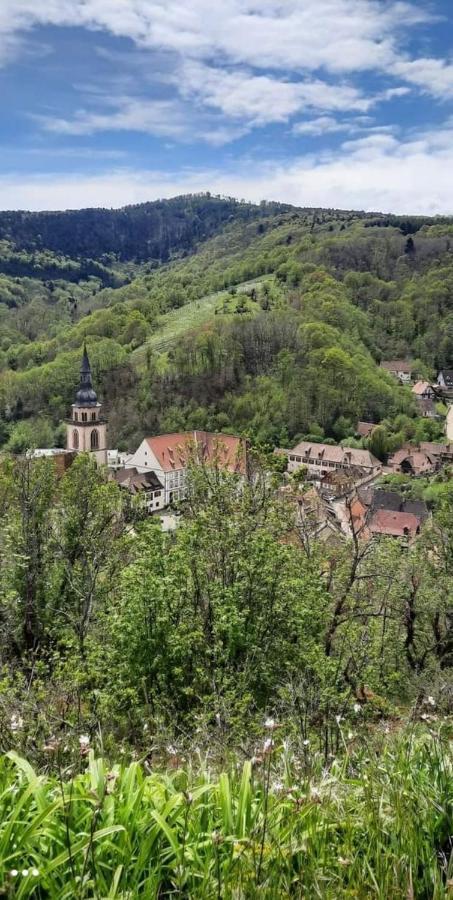 Gite A Andlau Exterior foto